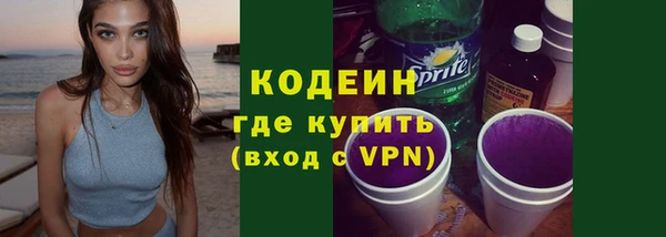 прущие грибы Вязники