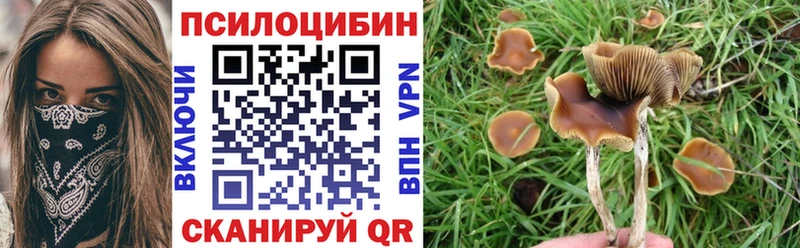 Галлюциногенные грибы прущие грибы  Анжеро-Судженск 