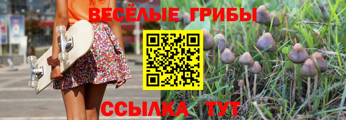 Галлюциногенные грибы Magic Shrooms Анжеро-Судженск