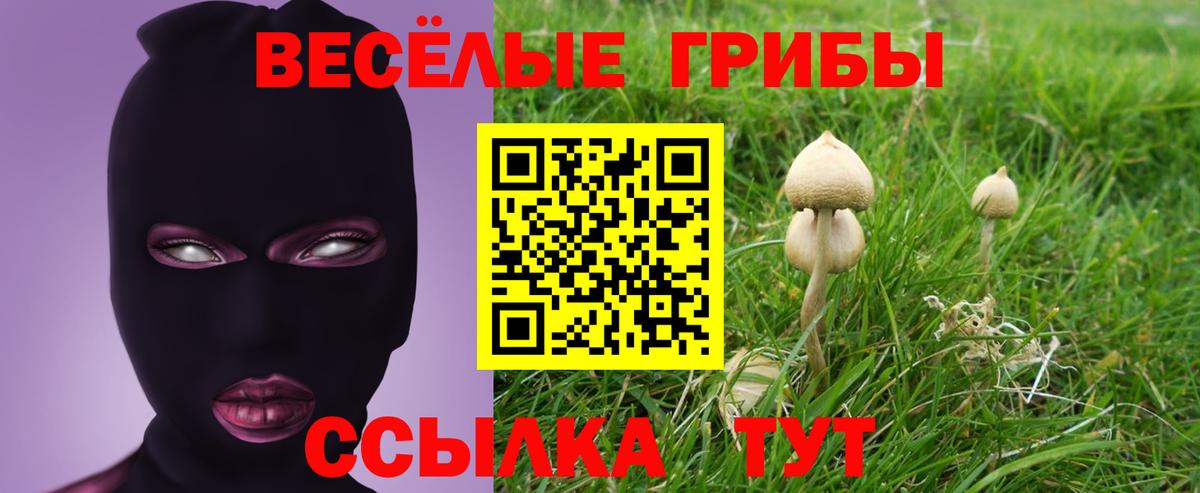 Псилоцибиновые грибы мицелий  Вход с VPN  наркотики  Анжеро-Судженск 